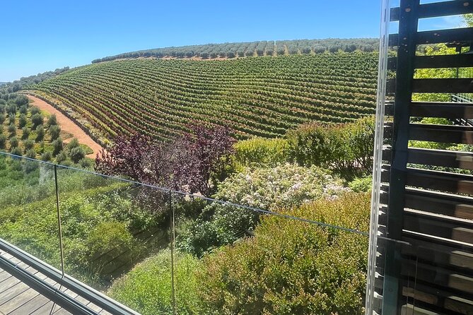 Private/Personalized Full Day Wine Tasting Tour Cape Winelands - Who Will Enjoy This Most