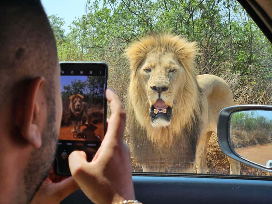 Private Rhino and Lion Park, Cradle Caves or Maropeng Museum - Key points at a glance