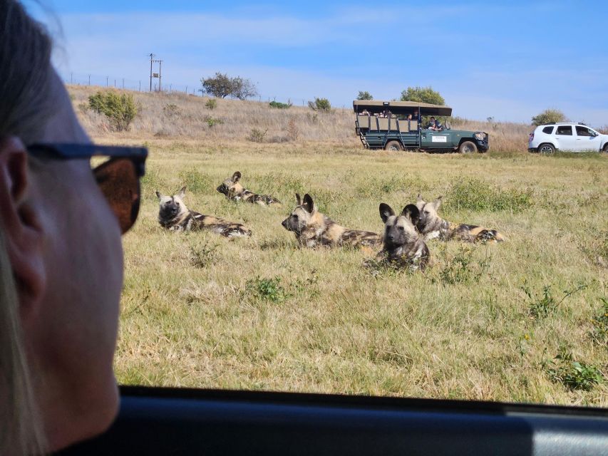 Private Rhino and Lion Park, Cradle Caves or Maropeng Museum - What the $87 price really covers