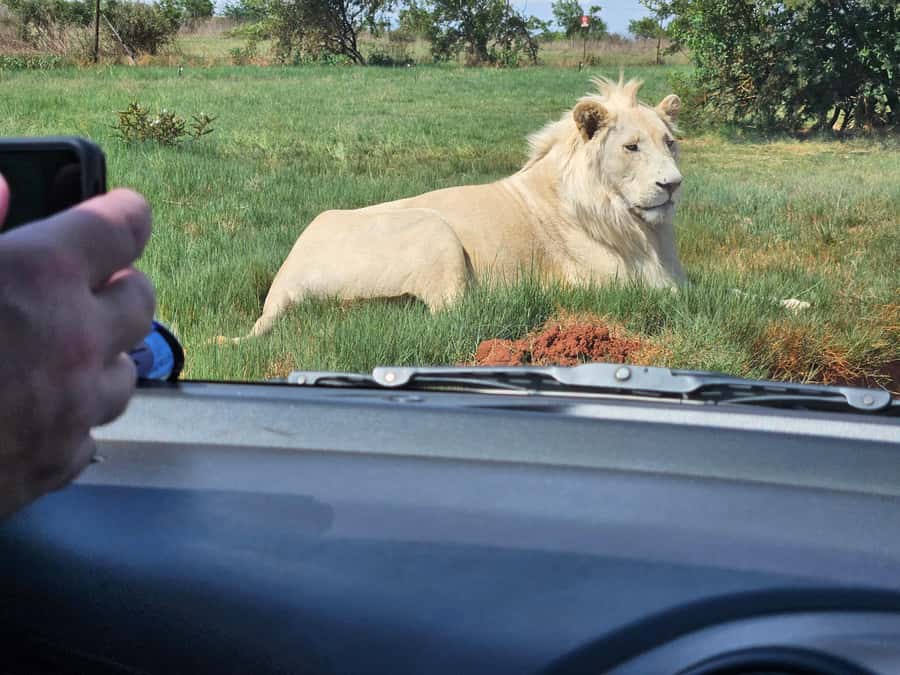 Private Rhino and Lion Park, Cradle Caves or Maropeng Museum - Who should book this outing
