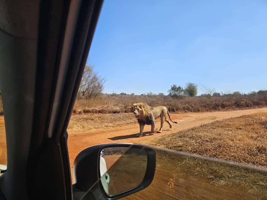 Private Safari. Cradle Humankind Caves or Maropeng Museum - Who should book this experience?