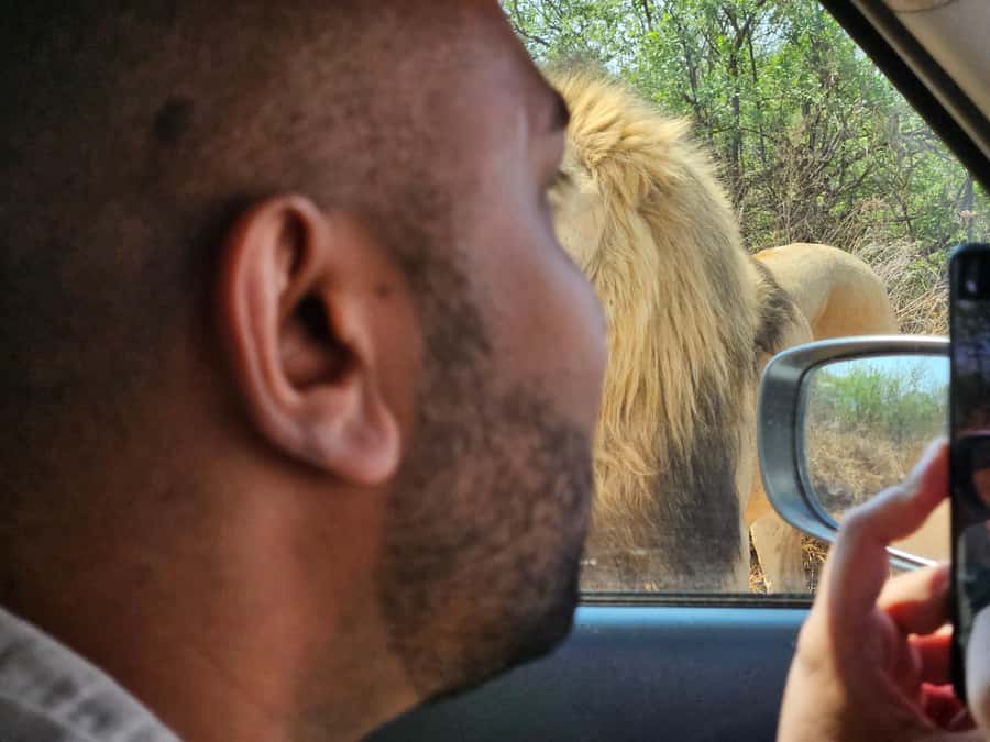 Private Safari Tour: Pilansberg National Park Big 5 - Key points to know before booking