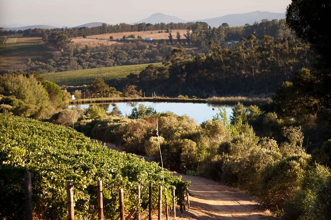 Private Stellenbosch, Franschhoek and Paarl Wine Tour - Glenelly lunch: a scenic pause, with an extra bill