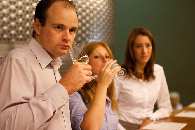 Private Stellenbosch, Franschhoek and Paarl Wine Tour - The pace, vehicle, and practical side