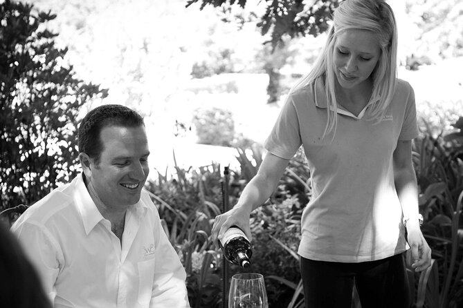Private Stellenbosch, Franschhoek and Paarl Wine Tour - Who will get the most from this wine day