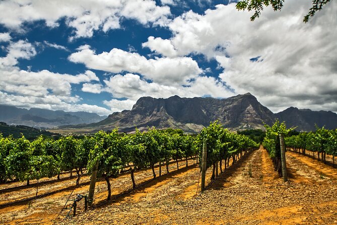 Private Table Mountain Penguins & Cape Point Tour from Cape Town - Chapmans Peak, one short stop with a big view
