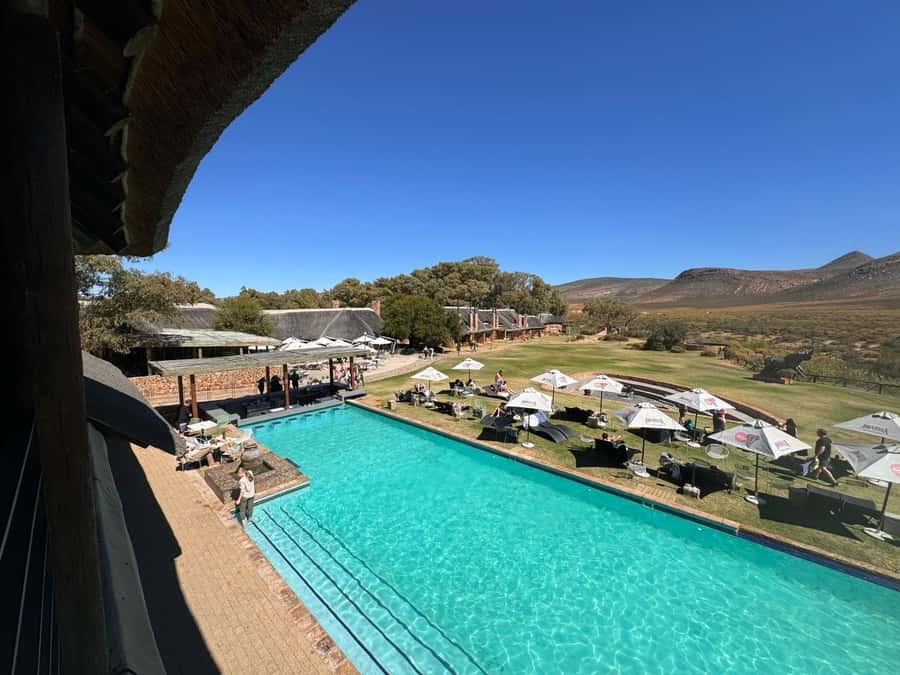 Private Tour: Big 5 Safari, Experience the wild animals - Booking details that matter