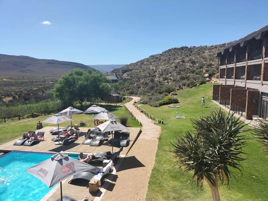 Private Tour: Big 5 Safari, Experience the wild animals - From Cape Town to the Karoo edge