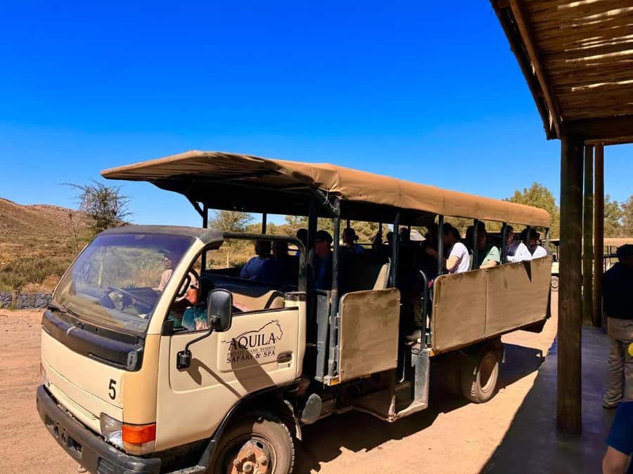 Private Tour: Big 5 Safari, Experience the wild animals - What you may see beyond the Big 5