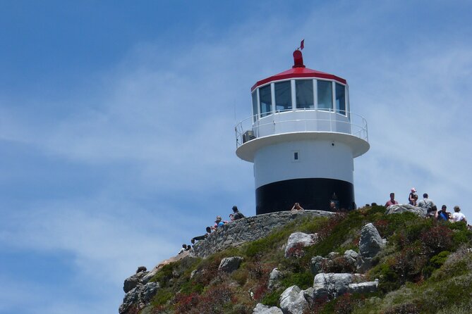 Private Tour: Cape of Good Hope, Cape point and Boulders Beach - Bo-Kaap starts the day with color and character