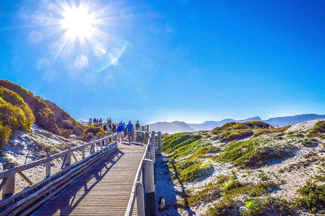 Private Tour: Cape of Good Hope, Cape point and Boulders Beach - Cape Point brings cliffs, bays, and open space