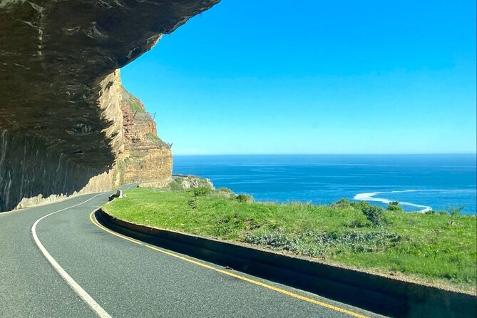 Private Tour: Cape of Good Hope, Cape point and Boulders Beach - Timing, costs, and what to bring