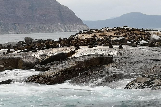 Private Tour: Cape of Good Hope Cape Point Penguins Kirstenbosch - Camps Bay and the return route fill in the picture