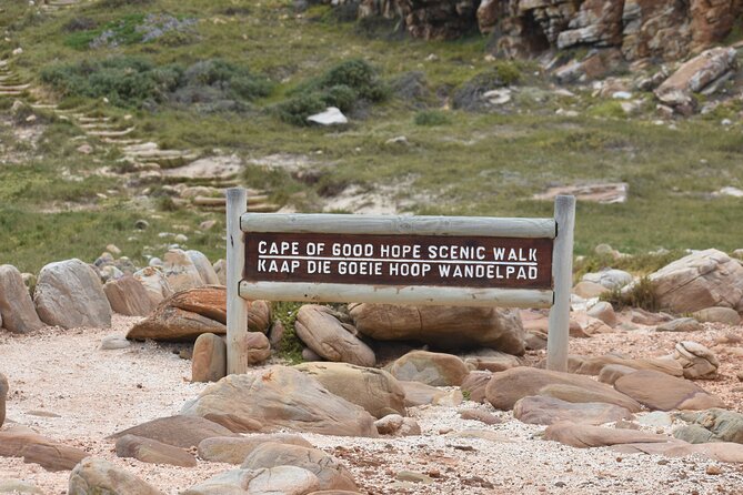 Private Tour Cape of Good Hope & Penguins Sightseeing Full day - Hout Bay adds an optional seal boat
