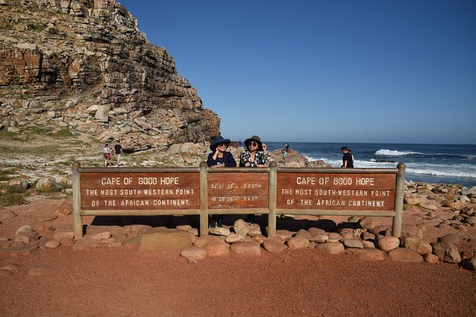 Private Tour: Cape Of Good Hope & Wine Tasting - A private way to see Cape Town’s big sights