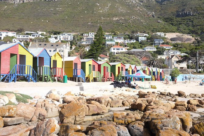 Private Tour: Cape Of Good Hope & Wine Tasting - Kalk Bay Harbour brings in local color