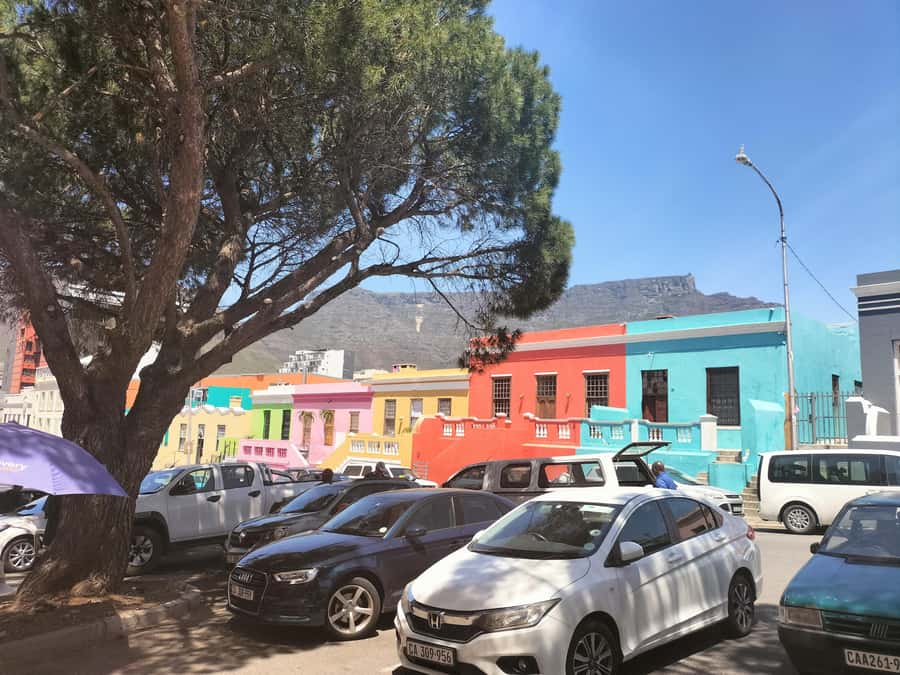 Private Tour:Cape Peninsula &Penguin Beach, Cape Point &more - What the private format changes