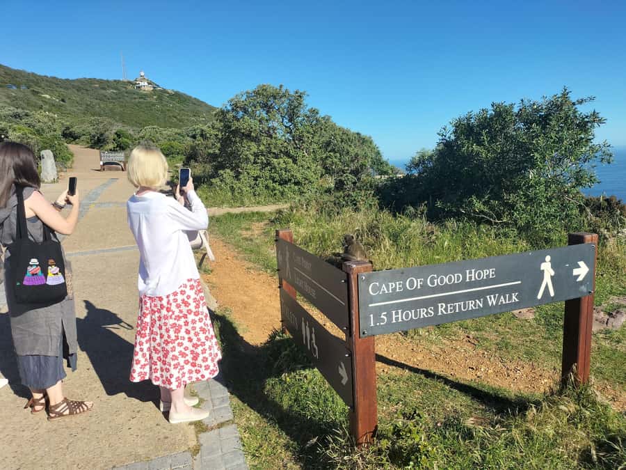 Private Tour: Cape Point, Penguins, Chapmans Peak & more... - Who should book this private day