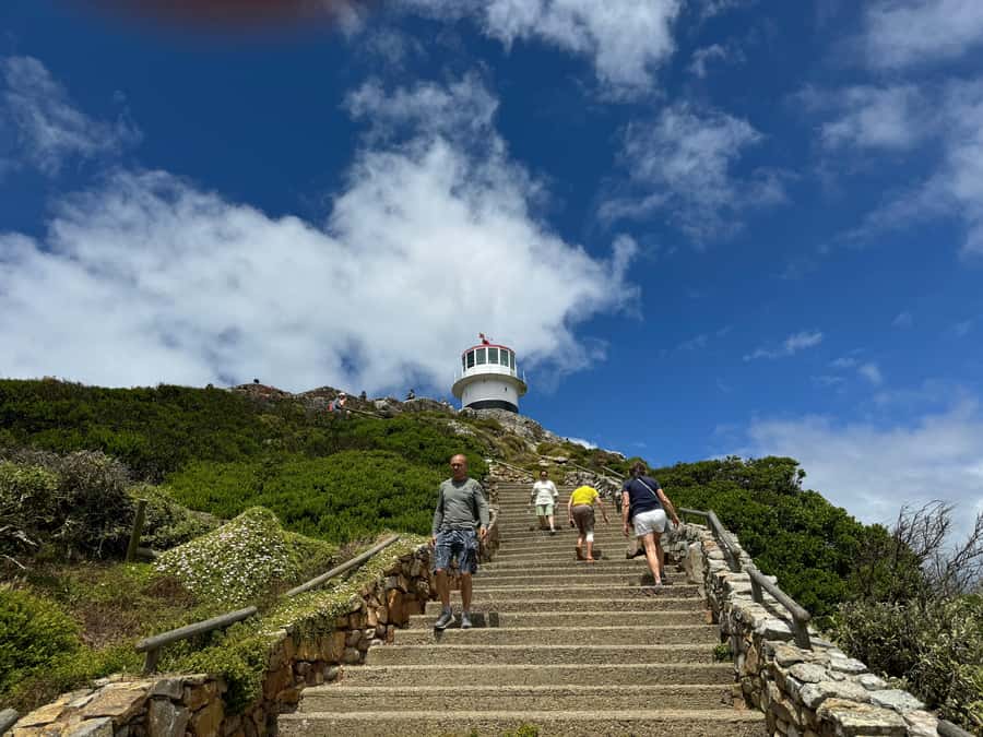 Private Tour: Cape Point, Penguins, Chapmans Peak & more... - Chapman’s Peak Drive, the route’s great scenic stretch