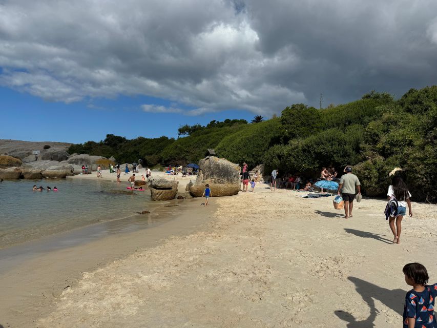 Private Tour: Cape Point, Penguins, Chapmans Peak & more... - Simon’s Town and the African penguins at Boulders Beach