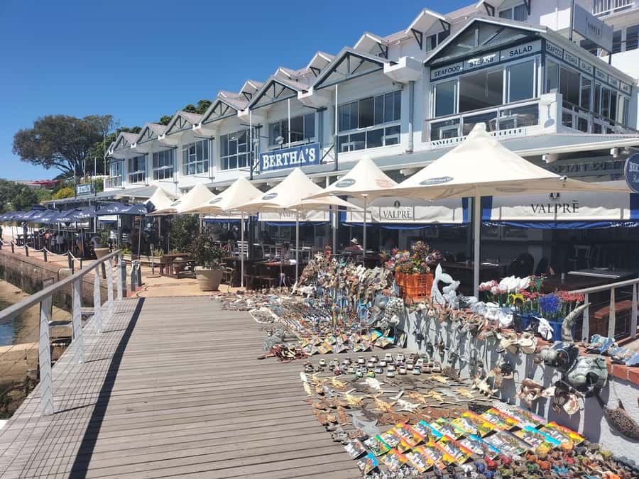Private Tour: Cape Point, Penguins, Chapmans Peak & more... - What the guide adds to the day