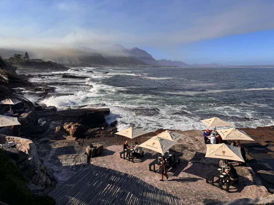 Private Tour: Hermanus- Boat Based Whale Watching Experience - Weather, clothing, and practical details