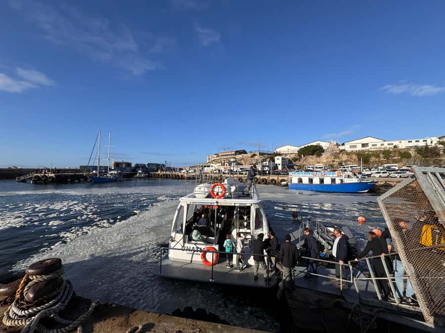 Private Tour: Hermanus- Boat Based Whale Watching Experience - Lunch beside the Hermanus water