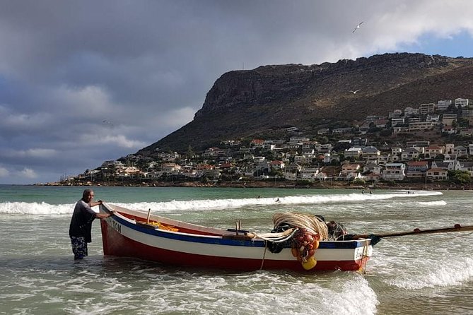 Private Tour Of Penguins, Cape Of Good Hope & Peninsula. - Camps Bay closes the coastal story