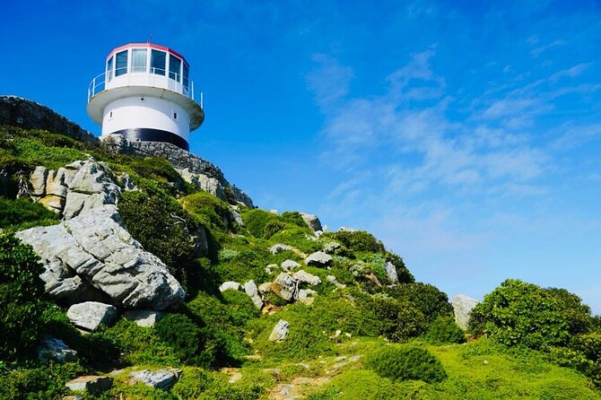 Private Tour: Penguins, Cape Point and Cape of Good Hope - Noordhoek Farm Village for coffee or fresh juice
