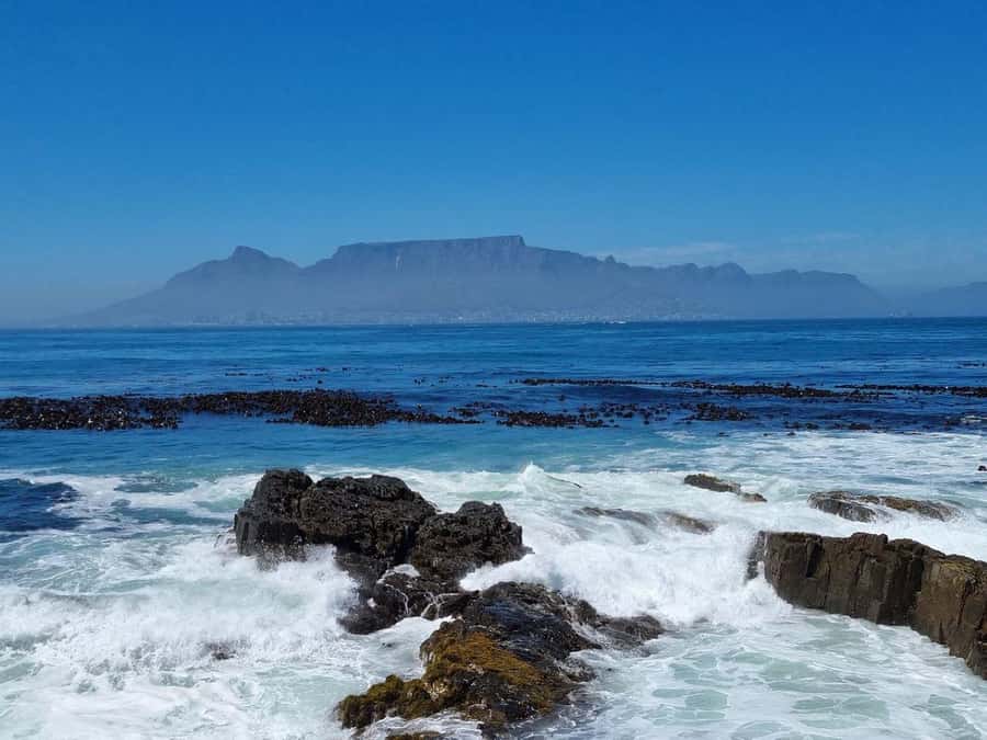 Private Tour: Robben Island, City Tour and Table Mountain - Who should book this day