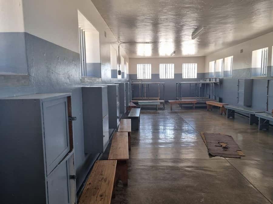 Private Tour: Robben Island, City Tour and Table Mountain - Table Mountain after a serious morning