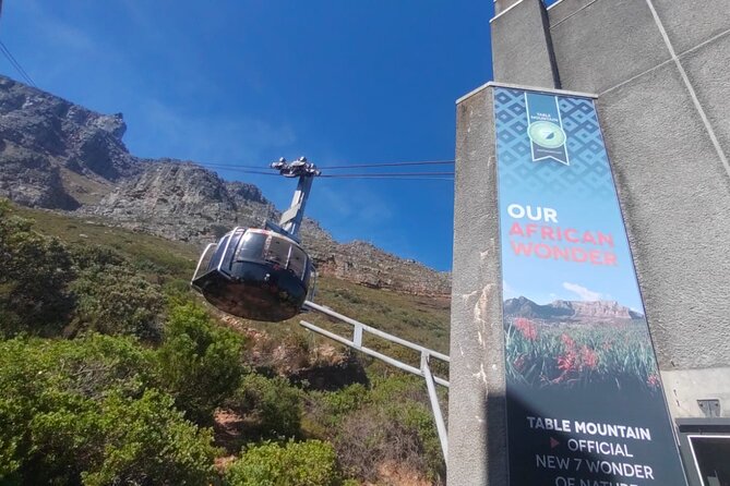 Private Tour:,Table Mountain ,Cape of Good hope & Penguins colony - Cape Point Nature Reserve: the longest stop
