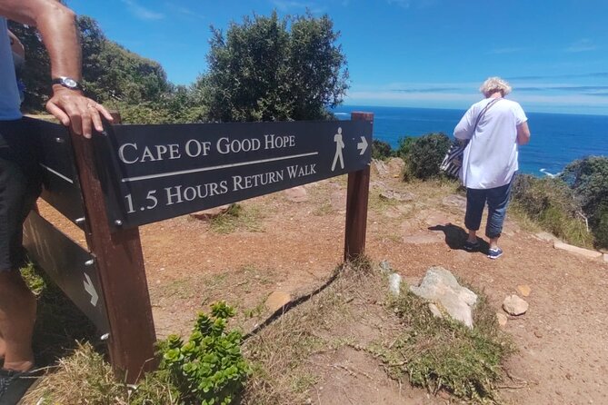 Private Tour:,Table Mountain ,Cape of Good hope & Penguins colony - Boulders Beach and the African penguins