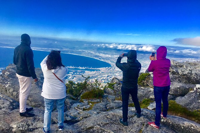 Private Tour: Table Mountain, Penguin Colony & Cape of Good Hope incl. Park Fees - A Full Cape Town Day for First-Time Visitors