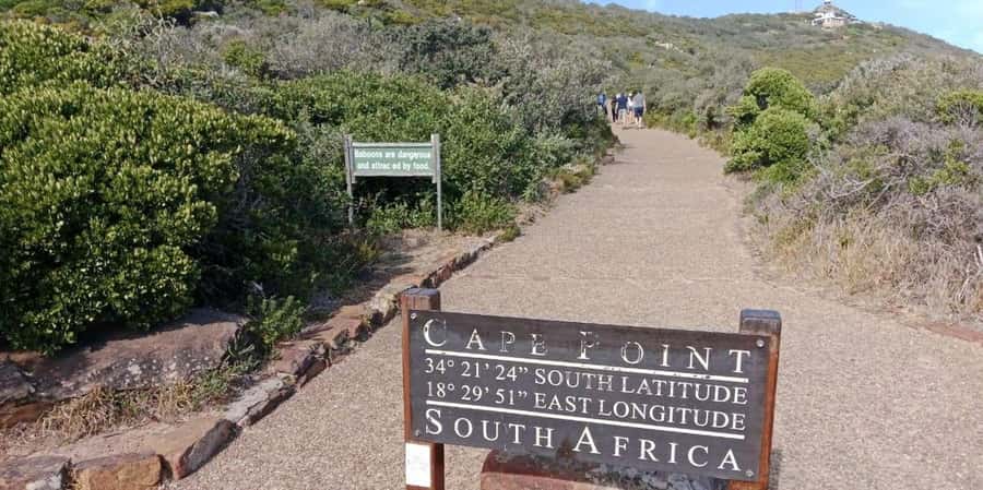 Private Tour: Table Mountain, Penguins Colony & Cape Of Good - A long Cape Town day with a private rhythm
