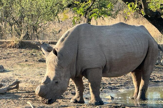Private Tour to Aquila Game Reserve in Cape Town - see the Big5 - Leaving Cape Town for the Du Toitskloof mountains