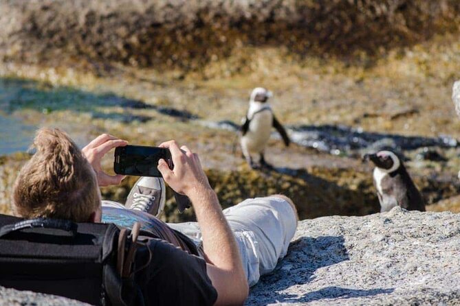 Private Tour to Robben Island and Cape Point in Cape Town - Cape Point Nature Reserve and the old lighthouse
