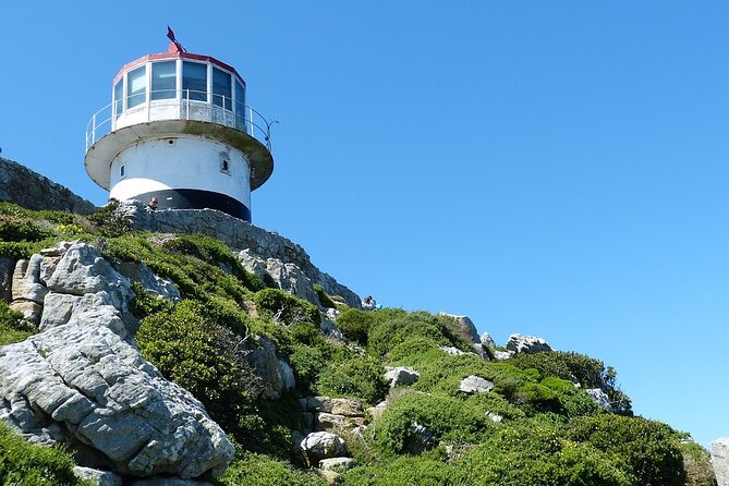 Private Tour to Robben Island and Cape Point in Cape Town - What the $121.61 price really covers