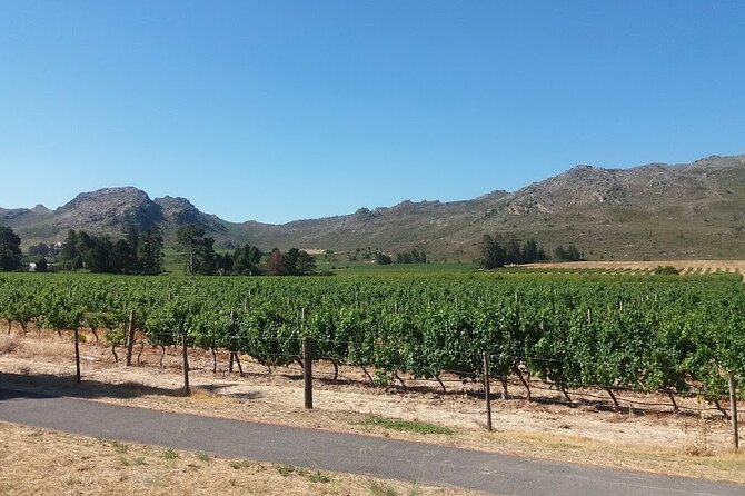 Private Tour To Stellenbosch Franschoek Wineries from Cape Town Price Per Group - Franschhoek brings French influence and a compact town walk