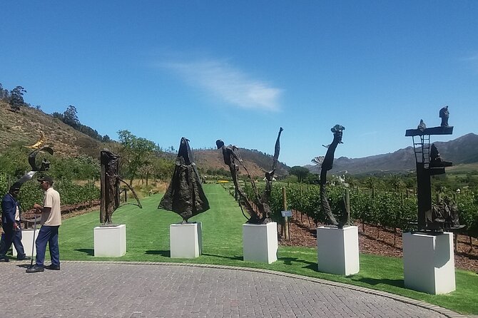 Private Tour To Stellenbosch Franschoek Wineries from Cape Town Price Per Group - Dieu Donné pairs steep vineyards with mountain views