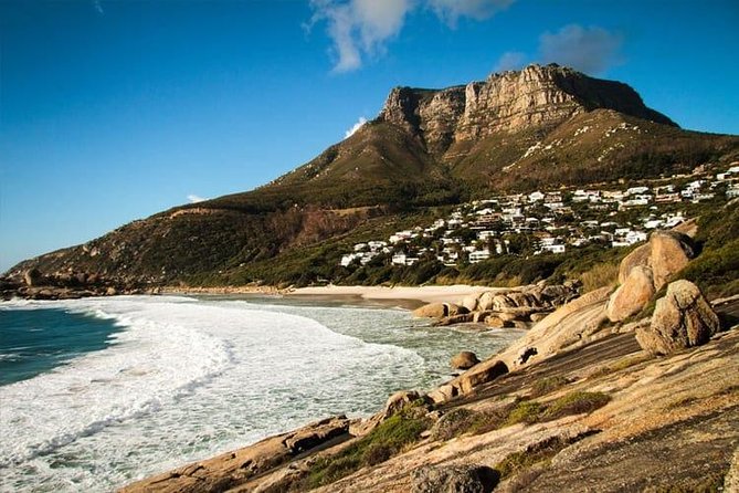 Private Transfer: CPT Airport to Cape Town in Luxury Van - The meet and greet details matter