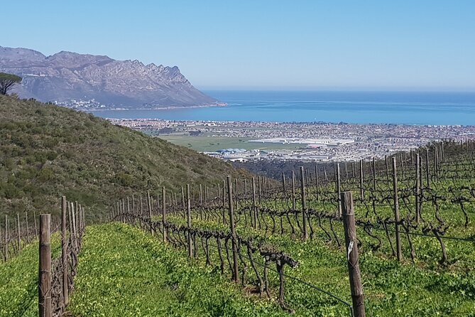 Private Wine Tasting Tour in Constantia, Cape Town - Why Constantia makes a smart first wine day
