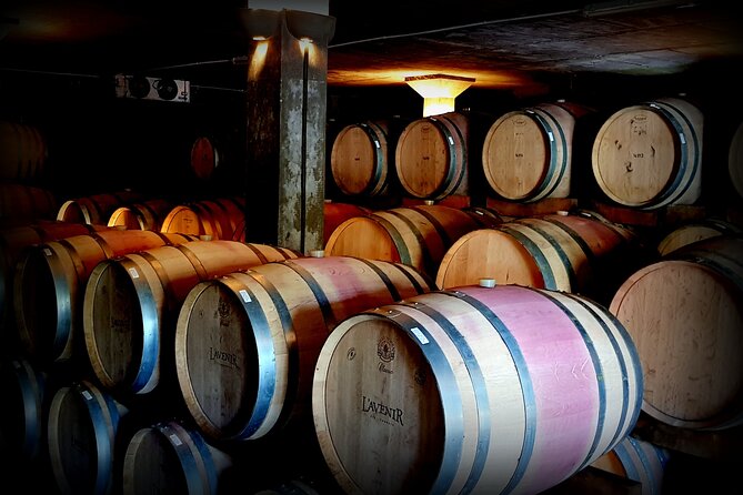 Private Wine Tasting Tour in Constantia, Cape Town - Lunch in a beautiful setting, paid separately