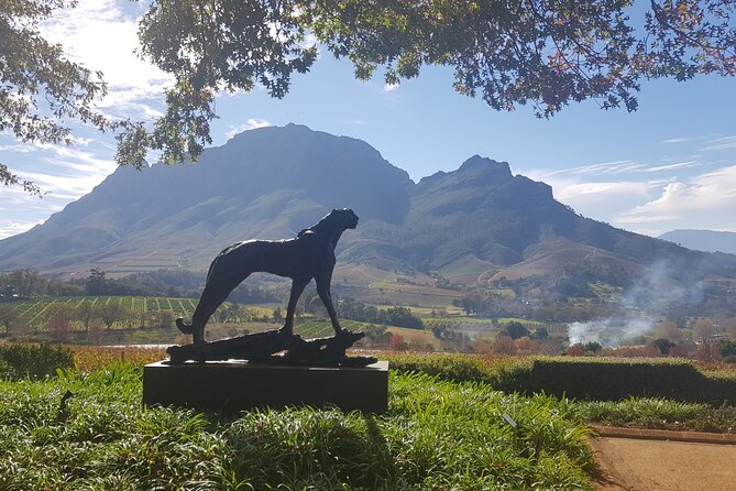 Private Wine Tasting Tour in Constantia, Cape Town - The extra tasting depends on your group