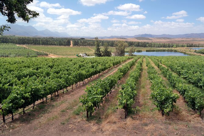 Private Wine Tasting Tour in Constantia, Cape Town - A practical way to prepare