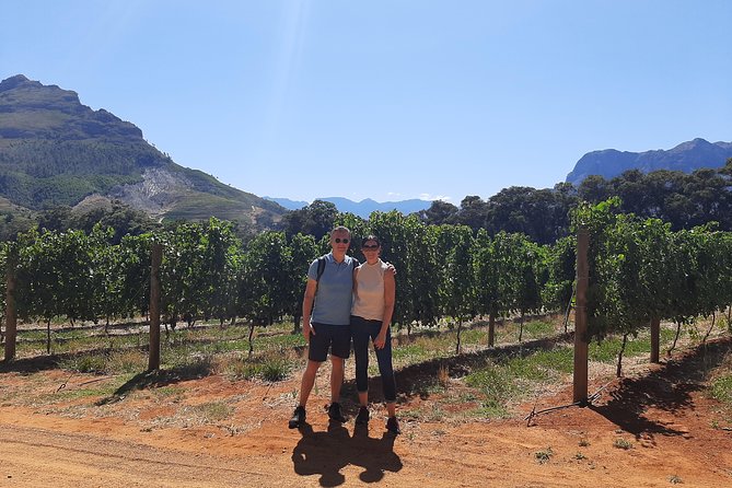 Private Wine Tour of Stellenbosch, Franschhoek and Paarl - Franschhoek: wine farms and time in town
