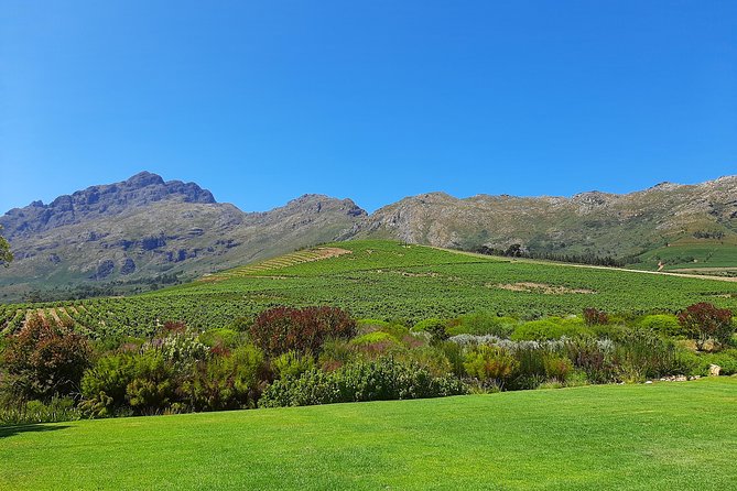 Private Wine Tour of Stellenbosch, Franschhoek and Paarl - The guides are the heart of the experience