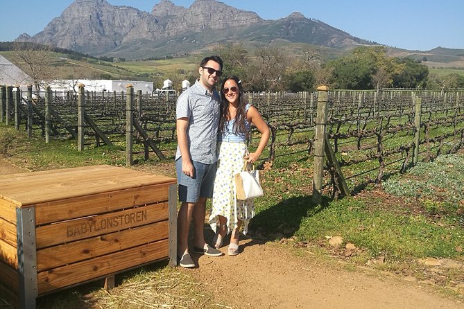 Private Wine Tour of Stellenbosch, Franschhoek and Paarl - Stellenbosch: food, wine and an adaptable route