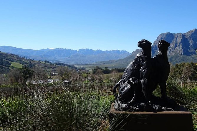 Private Wine Tour with Wine Expert to Stellenbosch-Franschhoek Wine Regions - Four wineries, chosen around your taste