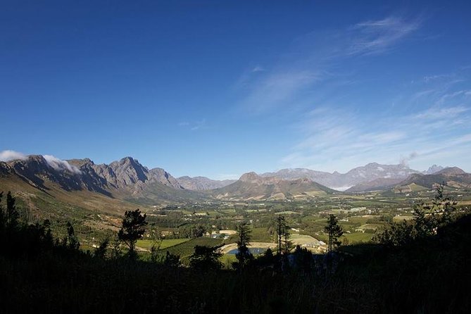 Private Wine Tour with Wine Expert to Stellenbosch-Franschhoek Wine Regions - Lunch is the main extra cost
